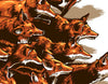 Converge Fox Poster