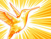 Converge Hummingbird Poster